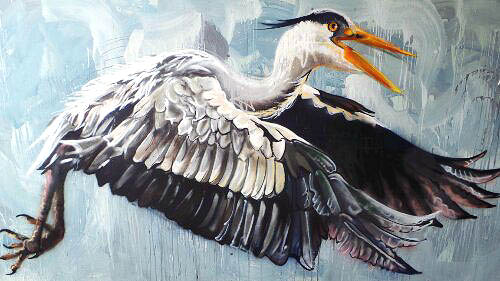 Grey Heron in flight by Louis Masai